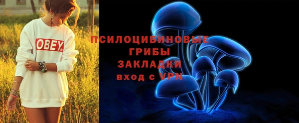 PSILOCYBIN Михайловка