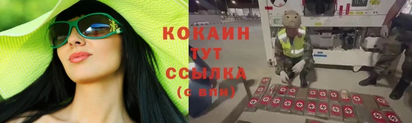 МДПВ Мегион