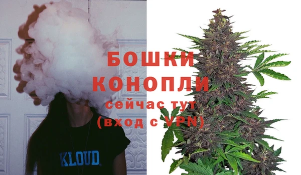 крисы Медногорск