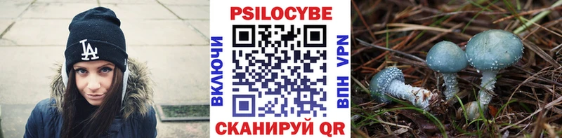 Псилоцибиновые грибы Psilocybe  купить закладку  Островной 